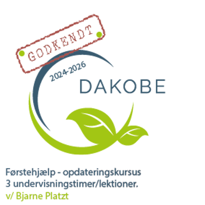 F&oslash;rstehj&aelig;lpskursus 3 timer Bjarne.png